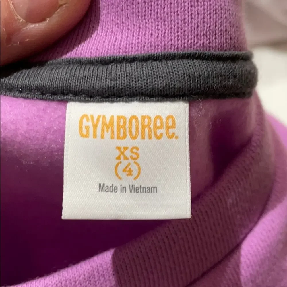 Gymboree 4 lavender sweatshirt crown dress euc
